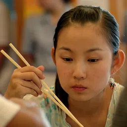 blue birds Eating, Cooking, Decorative Wood Chinese, Japanese, Korean Chopstick image 4