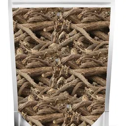 urban organic akarkara roots , anacyclus pyrethrum , pellitory roots seed (50 gram) Seed-picture-13