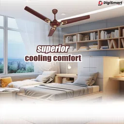 digismart APSRA DECO 1200 3 Blade Ceiling Fan image 3
