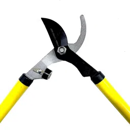 jon bhandari tools 24" inch Gardening Bypass Lopper with 2" inch cutting capacity, Garden Pruner, Tree Trimmer Secateur Bypass Pruner image 3