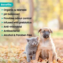 swacch Pet Aqua Odour Remover + Pet Shampoo (Combo Pack of 2) Economical Pack Conditioning Lemon Dog, Cat Shampoo image 3