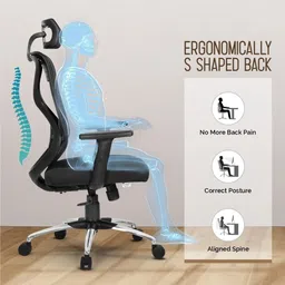 da urban Merlion Z-Black High Back Ergonomic Mesh Office Chair Mesh Office Executive Chair image 2