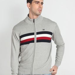 Arrow Sport Mock Collar Striped Pure Cotton Sweater-picture-41