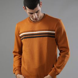 t-base Striped Round Neck Sweatshirt-picture-33