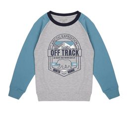 PLUM TREE Boys Graphic Printed Cotton Sweatshirt-picture-20
