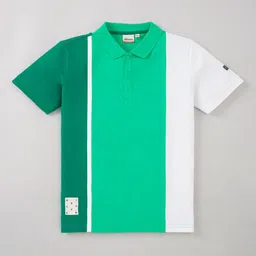 edheads Boys Colourblocked Polo Collar Regular Fit Cotton T-shirt-picture-35