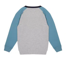 PLUM TREE Boys Graphic Printed Cotton Sweatshirt image 3
