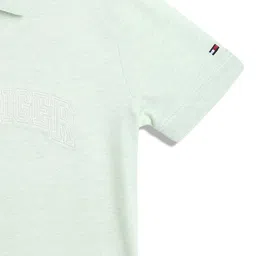 Tommy Hilfiger Boys Solid Polo Collar Cotton T-shirt image 3