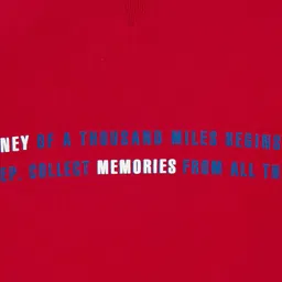 Ed-a-Mamma Boys Printed Sweatshirt image 4