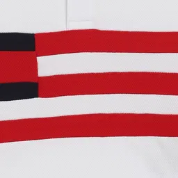 Tommy Hilfiger Boys Striped Polo Collar Cotton T-shirt image 2