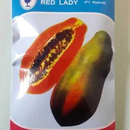 jbm Papaya Seed-picture-10