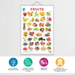 go woo 2 IN 1 FRUITS AND VEGETABLES Early Learning Educational Chart for Kids | 20"X30" inch |Non-Tearable and Waterproof | Double Sided Laminated | Perfect for Homeschooling, Kindergarten and Nursery Students Paper Print image 4