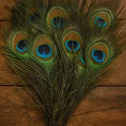 rajmart global Pack of 3 Decorative Feathers image 2