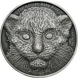 vkcoins Burundi 5000 Francs 2014 - Leopard beautiful with capsule Modern Coin Collection image 2