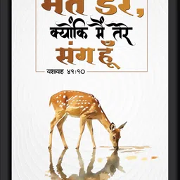 Plastic Wall Photo Frame-image-4