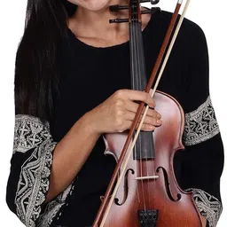 Arctic Apex Violin Kit 4/4 Classical (Modern) Violin image 2