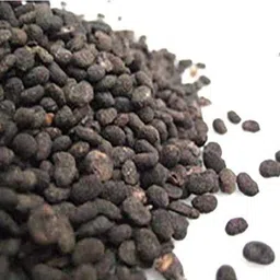 Babchi - Bavanchalu - Bakuchi - Seeds - Karpokarishi - Paoralea Corylifolia - 500GM Seed Seed (1 per packet) Seed-image-1