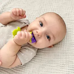 zukrave Fruit Teether image 2