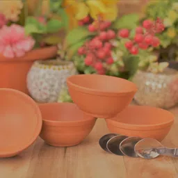 the himalaya craft Earthenware Vegetable Bowl image 1