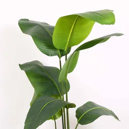 arick decor Artificial Banana Plants with Pot image 4