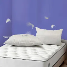 clouddio from pepperfry Cumulus Fibre 27x16 White Pillow (Set of 2) image 1