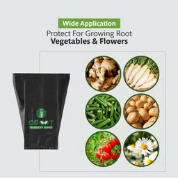 groot Plastic Grow Nursery Bags Plant Container Home Garden (8X10 inch) Pack 10 Grow Bag image 4