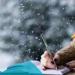 shama Premium HB Study Pencils Set of 40 for School and Office Pencil image 5