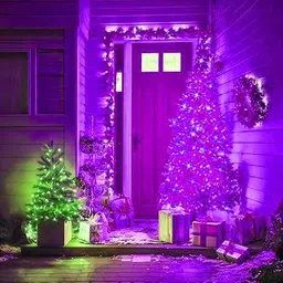 repish 40 LEDs 9 m Purple Steady String Rice Lights image 3
