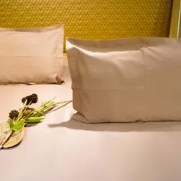 aetherea world Coffee 500TC 100% Cotton Solid Bed Sheet Collection by Aethrea World image 5