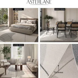 asterlane 4 cm X 6 Polypropylene Carpet image 4