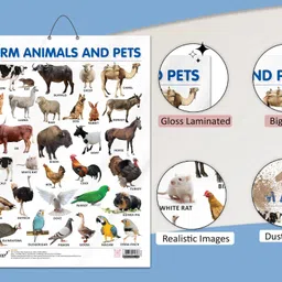 go woo FRUITS CHART GLOSS LAMINATED, FLOWERS CHART GLOSS LAMINATED, FARM ANIMALS AND PETS CHART GLOSS LAMINATED, and VEGETABLE CHART GLOSS LAMINATED | combo of 4 charts |Nature's Bounty and Blooms: A Visual Journey Paper Print image 4