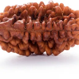 parashara ARKAM Premium One Mukhi Rudraksha Kaju Dana / Original 1 Mukhi Rudraksha Kaju Dana / Natural 1 faced Half-moon Rudraksha with detailed Puja and wearing instructions Wood Pendant image 3