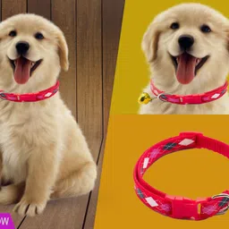 litvibes Cat & Puppy Collar With Bell,Kitten & Small Dogs Soft Adjustable & Breakaway Dog & Cat Break Away Collar image 2