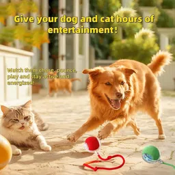 decorvaiz Automatic Smart Pet Dancing Ball- Motion Sensor Toy With Plastic Plastic Ball For Dog & Cat image 3