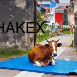 hakex COW MAT-Waterproof Rubber(Mat 8*5 Feet)BPA Free For Horse-G Cow, Dog, Hamster, Guinea Pig, Miniature Pig Pet Mat-picture-15