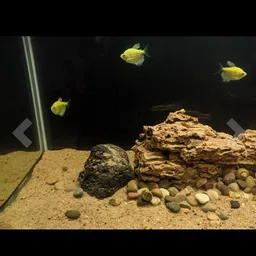 artifii RIVER SAND NATURAL ORGANIC SAND 100% PURE AND ORGANIC 1 KG Sand Planted Substrate image 4