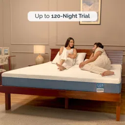 urbanbed Latexcore Support With Pincore Hole Orthopedic Dual Side 10 Inch Single Size (With 1 Free Memory Foam Pillow) image 2