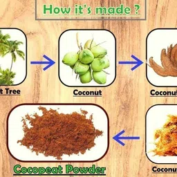 walk garden 8 KG 100% Organic Loose Ready to use Low EC Cocopeat Potting Mixture image 4