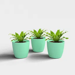 SHERA Stella Flower Pots for Home Décor | 8 Inch Planter for Indoor & Outdoor Plant Container Set-image-43