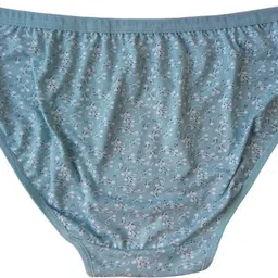 kck international Pack of 3 Women Hipster Multicolor Panty image 2