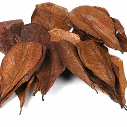 fashionable cliq Almond Leaves for Shrimp Bettas Aquatic Plant Fertilizer image 1