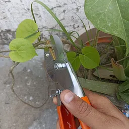 erin Flower Cutter For Home Gardening Tool (Roll Cut (Flemingo) Garden Tool Kit image 5