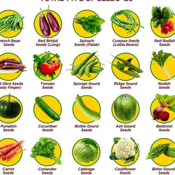 greenery hub 20-Vegetable Seeds Combo For Your Home Gardening Seed image 1