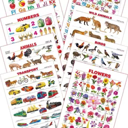 spectrum Kid's 1st Learning Charts [S] : Set 14 (English Alphabets, Marathi Mulakshare, Numbers 1 to 10, Wild Animals, Domestic Animals, Birds, Transport & Flowers)-picture-23