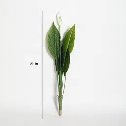 fourwalls Plastic Green Spathe Artifical Without Pot Artificial Plants image 3