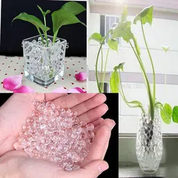 shining angel Crystal Soil Transparent Magic Water Beads Orbeez / Plant Soil Pack of 5500 Pcs-picture-14