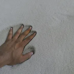 rugstar 210 cm X 150 Cotton Carpet image 5