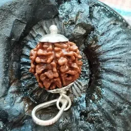 beautum Original 3 mukhi rudraksha with natural finish for men and women Wood Pendant image 2