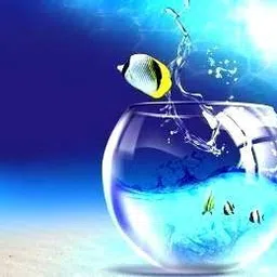 atloyal AT_02 Round Ends Aquarium Tank image 2