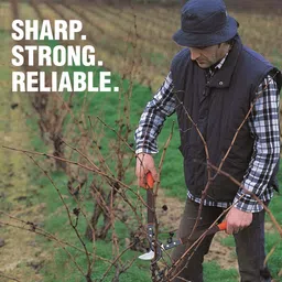 ibell Heavy Duty Bypass Lopper for Gardening, Tree Pruner with Steel Blade for Pruning Trees, Branches & Shrubs Bypass Pruner image 5